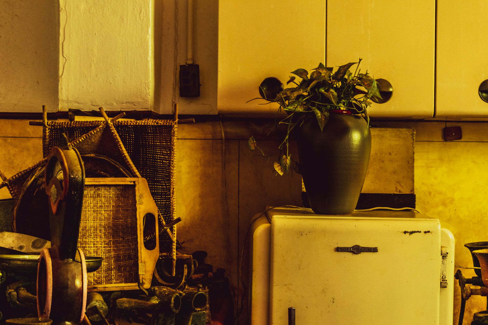 A classic kitchen interior featuring a potted plant on a vintage refrigerator. Warm lighting accents.
